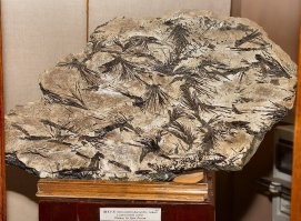 Добавлю чуть своего...