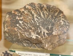 Добавлю чуть своего...