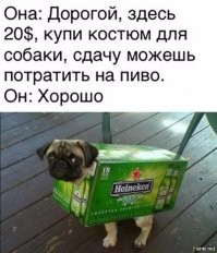 Подымаем субботнее настроение