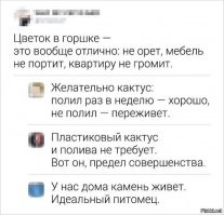 Подымаем субботнее настроение