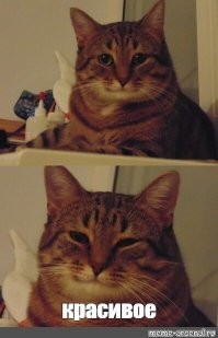 Голомянка: 70% рыбы в Байкале — вот эти «красавцы», целиком состоящие из жира и костей