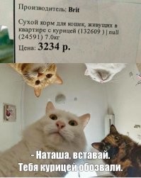 Смешные и познавательные картинки