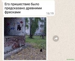 Смешные комментарии из&nbsp;социальных сетей-30