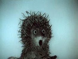  Собиратель морских ежей за работой