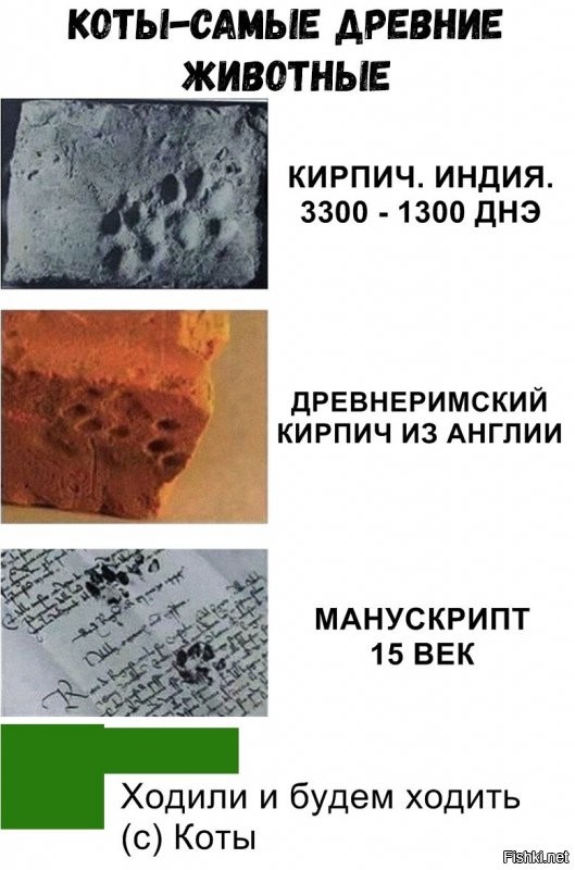 Средневековые отпечатки кошачьих лап (около 1100-х гг
