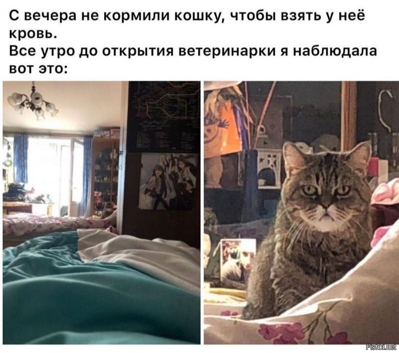 Солянка от 06.12.2021