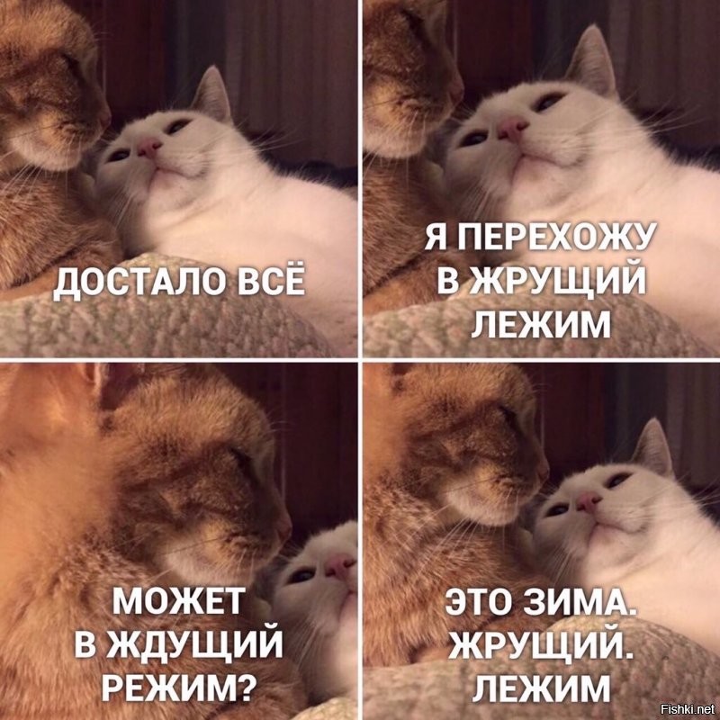 Солянка от 06.12.2021