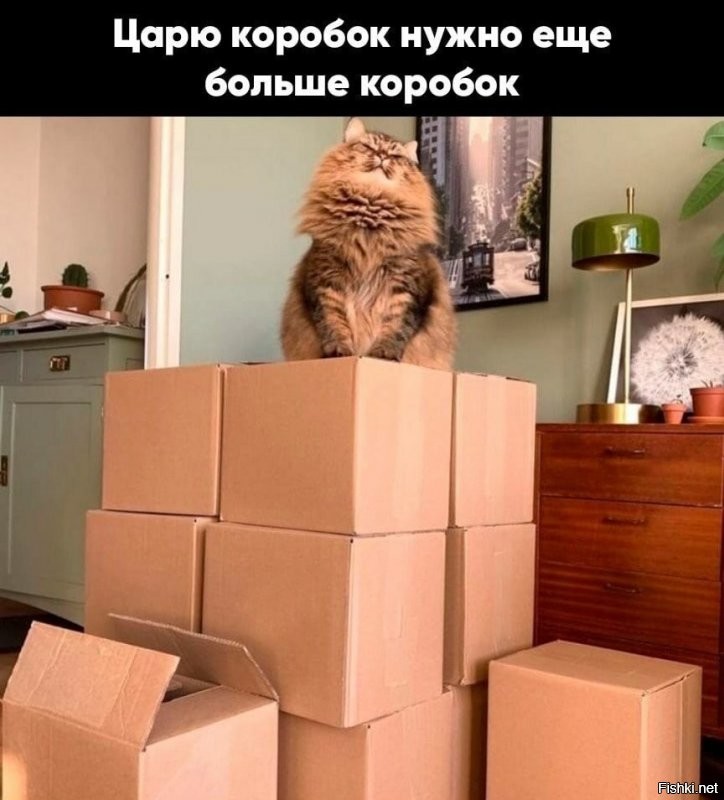 Солянка от 06.12.2021