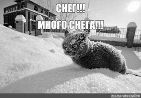 Завтра столицу накроет очередная непогода, но на этот раз — историческая