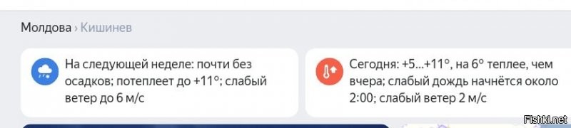 Плавки, просто плавки :)