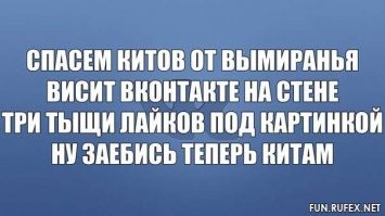 Футболисты "Зенита" вышли на поле с щенками - и собрали миллионы просмотров