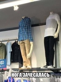 Картинки с хорошим юмором для хорошего настроения!