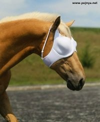 Перформанс, который мы заслужили: Собчак и Ивлеева поучаствовали в съёмке Prada "Аптека"