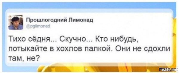 Притихли, нападения ждут...