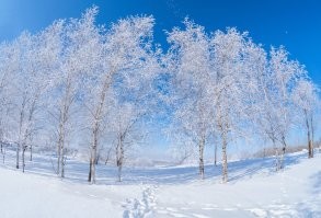 На "рыбий глаз" снимали.