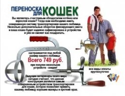 что-то есть!