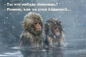 Зачем снежные обезьяны отправляются зимой на рыбалку