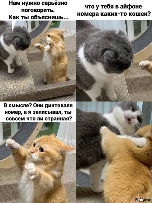 Солянка от 07.12.2021