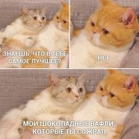 Смешно и грустно, или вся суть межполовых отношений в мемах и твитах