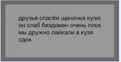 Футболисты "Зенита" вышли на поле с щенками - и собрали миллионы просмотров