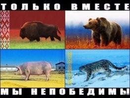 Чет туплю я сегодня, по ходу. Беларусь-Россия-Украина понял. А четвертый кто?