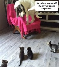 Прикольная подборка
