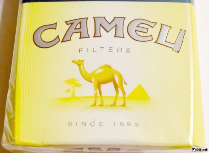 Солянка от 07.12.2021