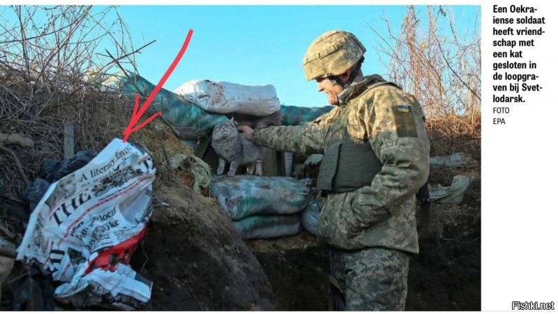 КОРНИЛОВ:
Сегодня в голландской газете De Telegraaf приведено трогательное фото украинского солдата с котом (или с «китом») на передовых позициях под Светлодарском. Что уж там, фото сделано профессионально, как бы доброта и человечность ВСУ показана.
Но мне бросилась в глаза газетка, которую уж я отличу от всех. Это британская The Times. Ее украинские солдаты выписывают? Или по степям донецким ветер такое носит? Или британские инструкторы на передовой спалились? Или постановщики фотосессии с собой привезли из лондонского пиар-агенства?