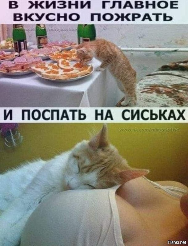 Солянка от 08.12.2021