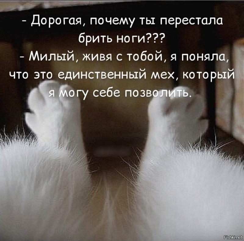 Солянка от 08.12.2021