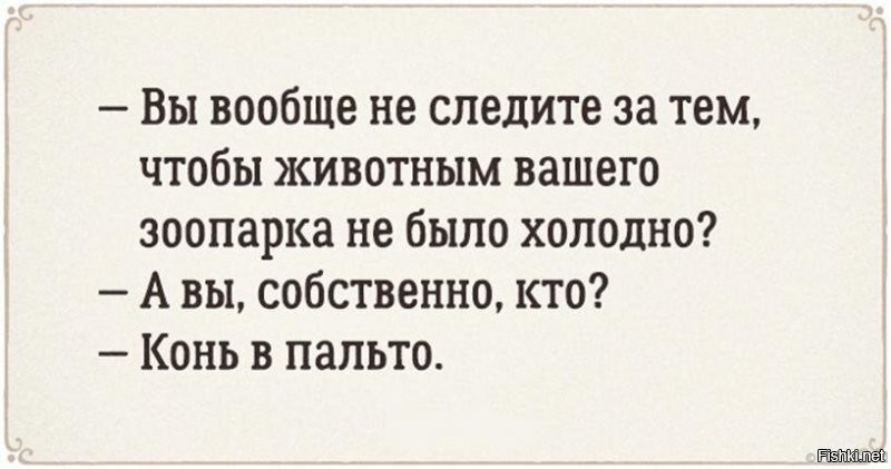 Солянка от 08.12.2021