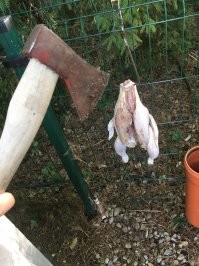 Фото мое :) чисто поржать , дум вспомнил :)