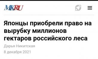 Япония выкупила у России 4 млн гектаров леса