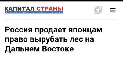Япония выкупила у России 4 млн гектаров леса