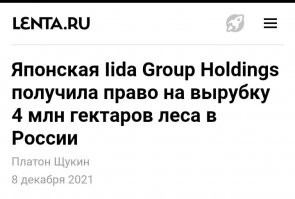 Япония выкупила у России 4 млн гектаров леса