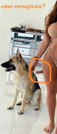 Смешные и познавательные картинки