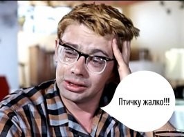 В Италии самолет загорелся при посадке после столкновения с птицами