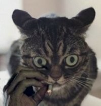 15 шоковых изображений, которые повысят ваш уровень адреналина