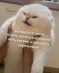 Туалетное преступление и наказание