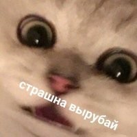 15 шоковых изображений, которые повысят ваш уровень адреналина
