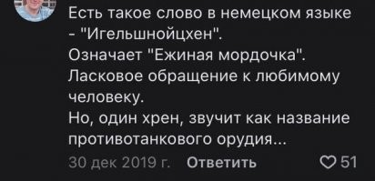 "Ежиная мордочка" является ничем иным, как комплиментом. Да-да, назвать кого-то ежиной мордочкой очень мило