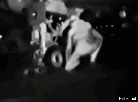 Двигатели довольно часто помпажируют цапель, иногда помпажируют и людей