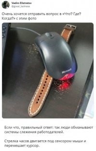 А погрызла она чего? В смысле, мышка? А то крошки лежат рядом.