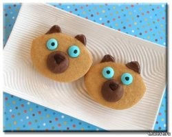 Отравился печеньками !