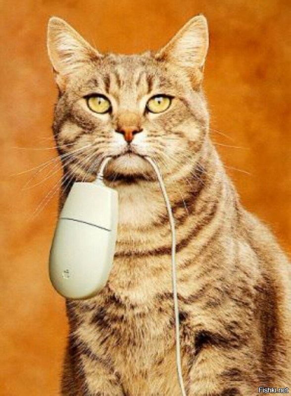 Солянка от 09.12.2021