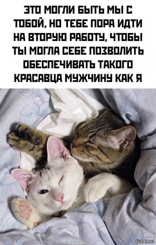 Солянка от 09.12.2021