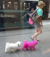 Впервые вижу двух собак и одну овцу. Себе бы чё-нить покрасила, а не собаку.