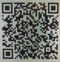 Не обманешь - не пройдешь: россияне посещают магазины и ТЦ по QR-кодам от пылесосов и колбасы