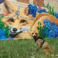 Клиент доволен.