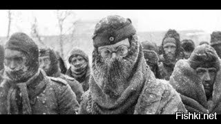 Солянка от 09.12.2021